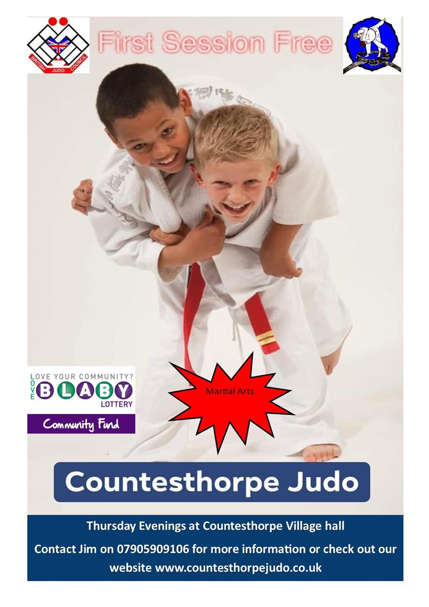 Judo Poster